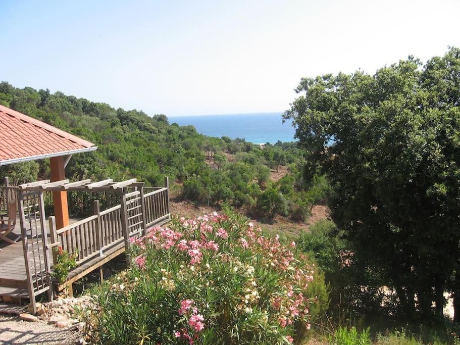 Villa Vista Mare 11 Favone Конка Екстер'єр фото
